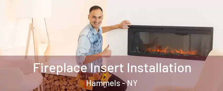 Fireplace Insert Installation Hammels - NY