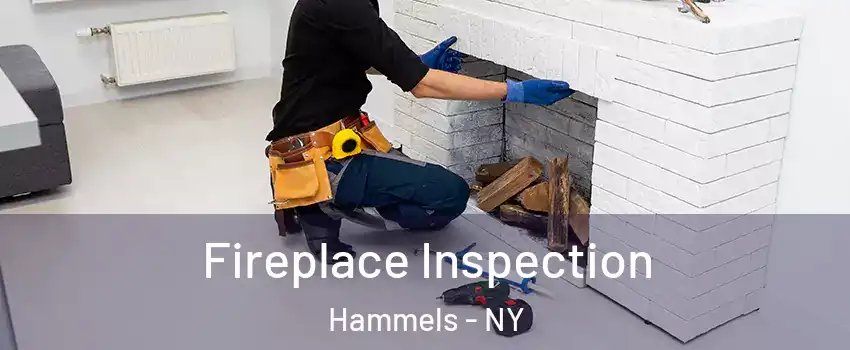 Fireplace Inspection Hammels - NY