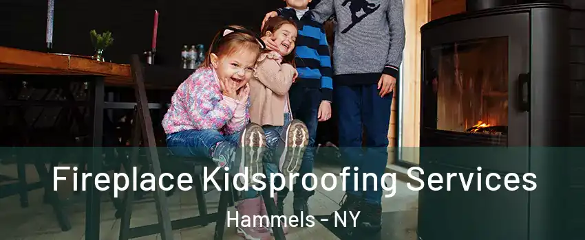 Fireplace Kidsproofing Services Hammels - NY