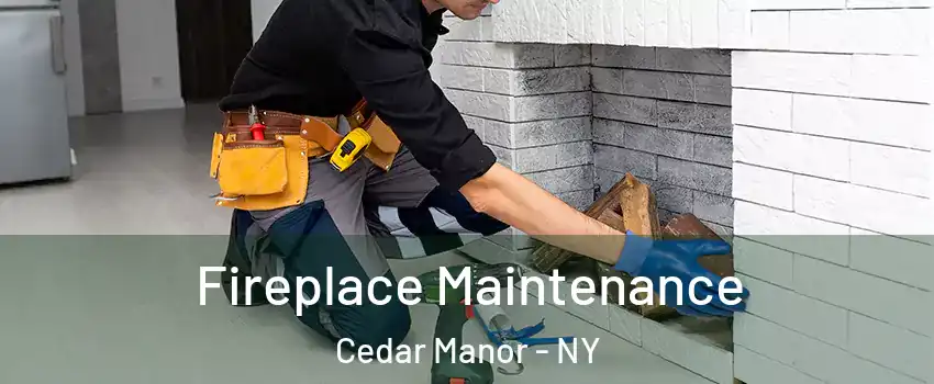Fireplace Maintenance Cedar Manor - NY