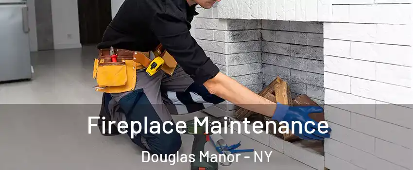 Fireplace Maintenance Douglas Manor - NY