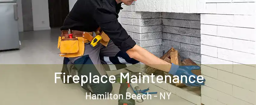 Fireplace Maintenance Hamilton Beach - NY