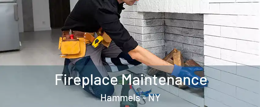 Fireplace Maintenance Hammels - NY