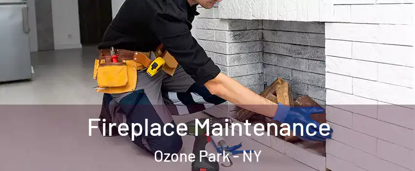 Fireplace Maintenance Ozone Park - NY