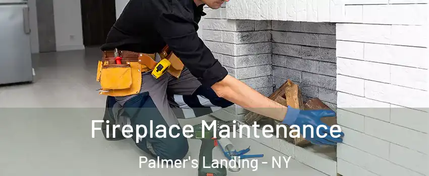 Fireplace Maintenance Palmer's Landing - NY