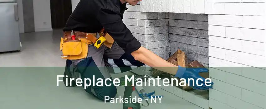 Fireplace Maintenance Parkside - NY