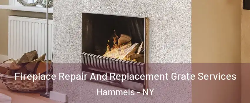 Fireplace Repair And Replacement Grate Services Hammels - NY