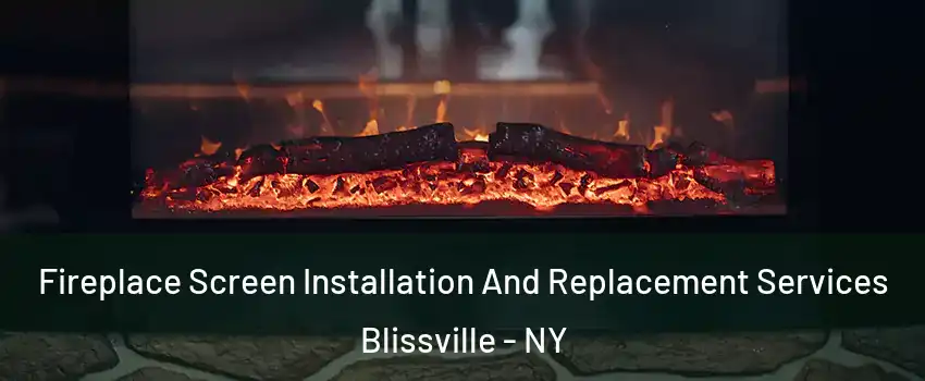 Fireplace Screen Installation And Replacement Services Blissville - NY