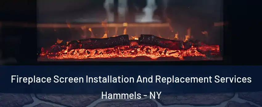 Fireplace Screen Installation And Replacement Services Hammels - NY
