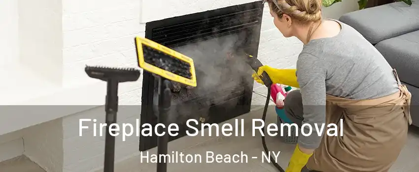 Fireplace Smell Removal Hamilton Beach - NY