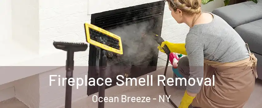 Fireplace Smell Removal Ocean Breeze - NY
