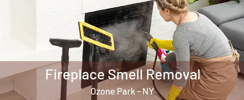Fireplace Smell Removal Ozone Park - NY