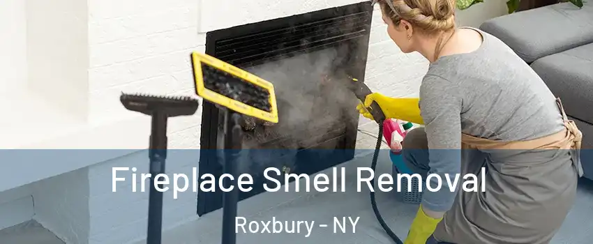 Fireplace Smell Removal Roxbury - NY