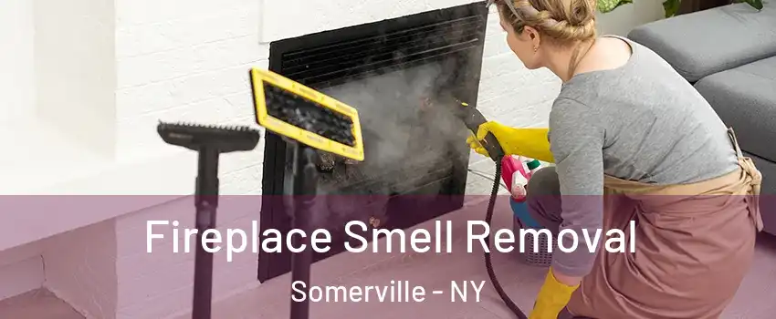 Fireplace Smell Removal Somerville - NY