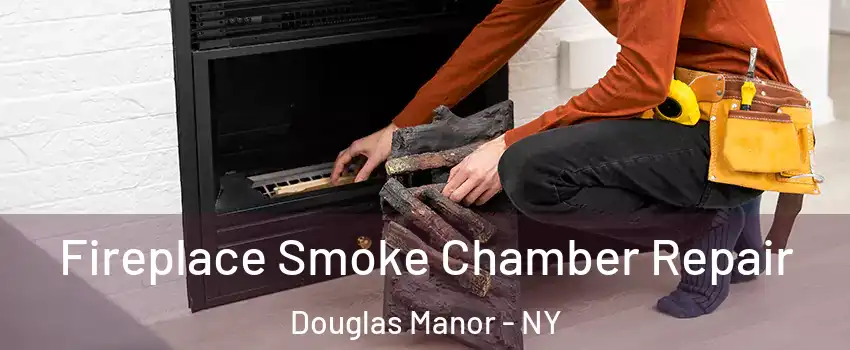 Fireplace Smoke Chamber Repair Douglas Manor - NY