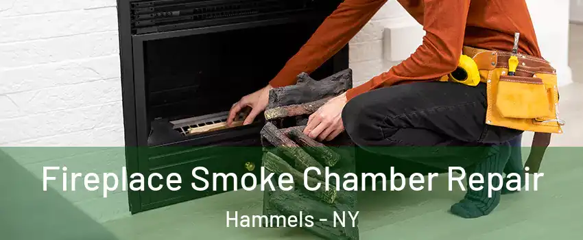Fireplace Smoke Chamber Repair Hammels - NY