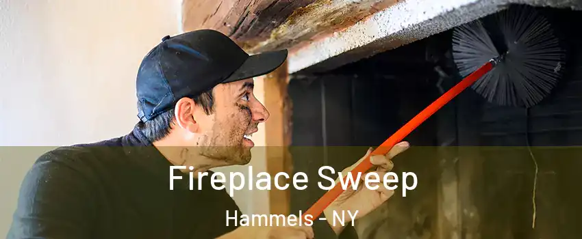 Fireplace Sweep Hammels - NY