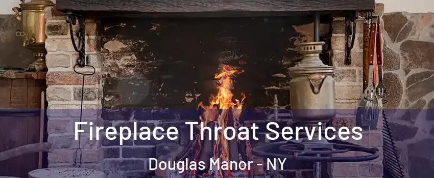 Fireplace Throat Services Douglas Manor - NY
