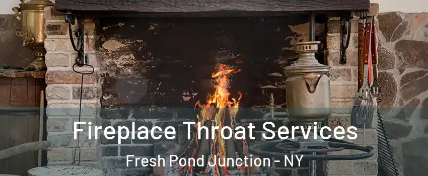 Fireplace Throat Services Fresh Pond Junction - NY