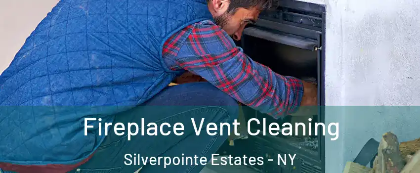 Fireplace Vent Cleaning Silverpointe Estates - NY