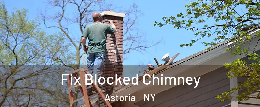 Fix Blocked Chimney Astoria - NY