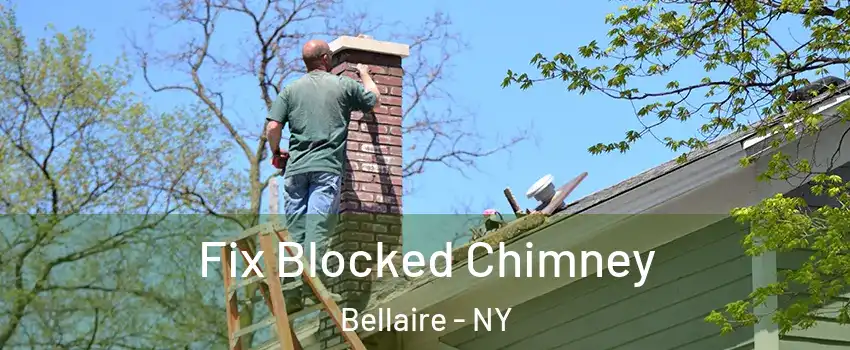Fix Blocked Chimney Bellaire - NY