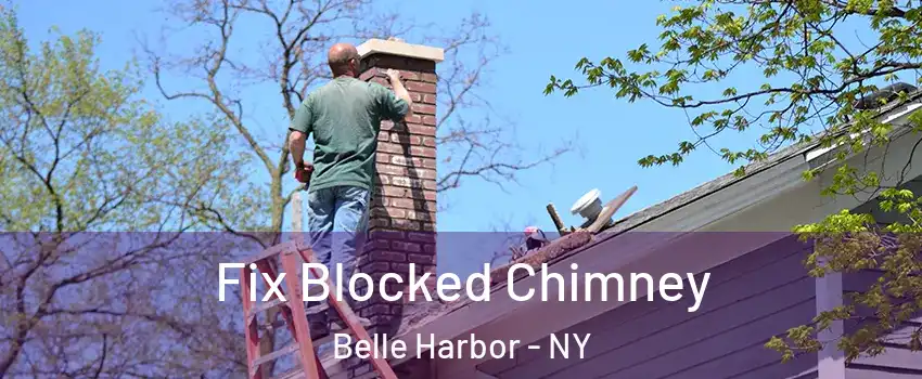 Fix Blocked Chimney Belle Harbor - NY