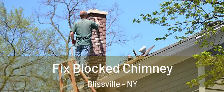 Fix Blocked Chimney Blissville - NY