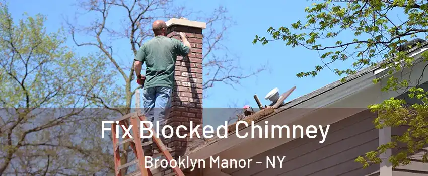 Fix Blocked Chimney Brooklyn Manor - NY