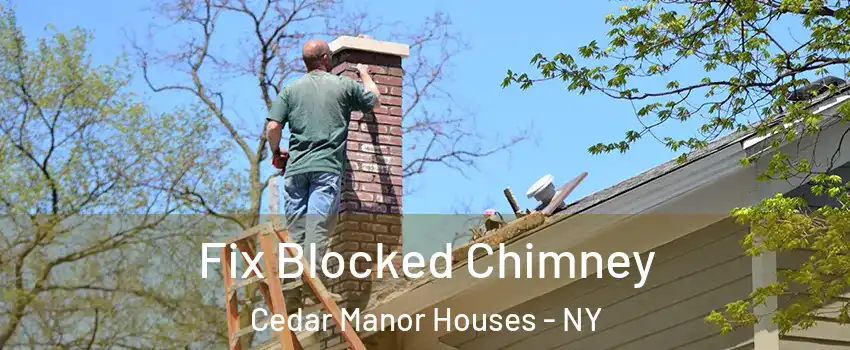 Fix Blocked Chimney Cedar Manor Houses - NY