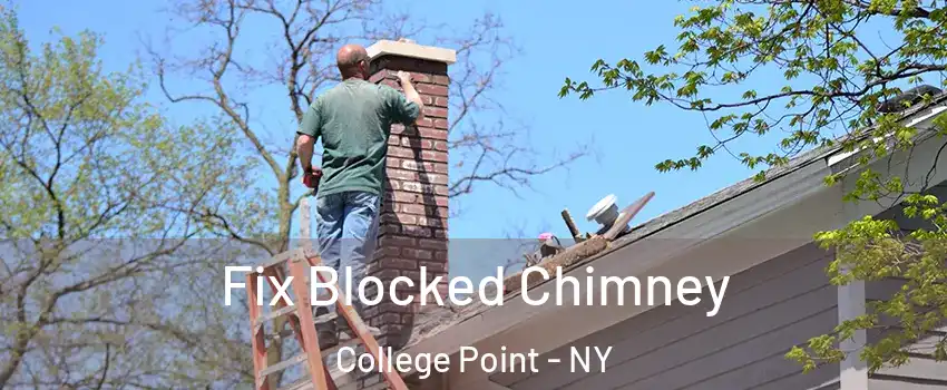 Fix Blocked Chimney College Point - NY