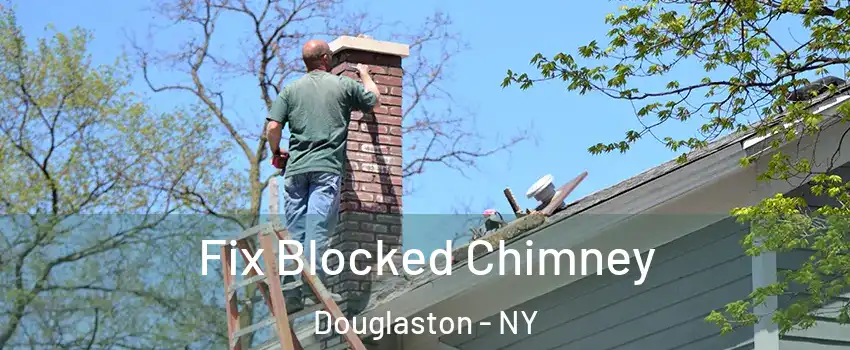 Fix Blocked Chimney Douglaston - NY