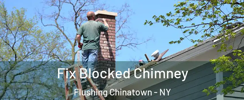Fix Blocked Chimney Flushing Chinatown - NY
