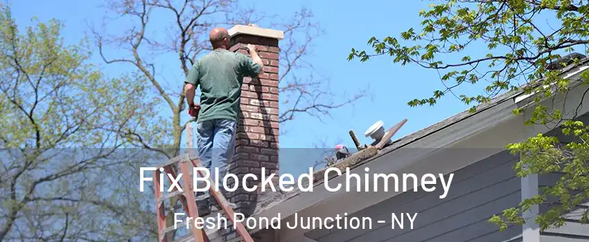 Fix Blocked Chimney Fresh Pond Junction - NY