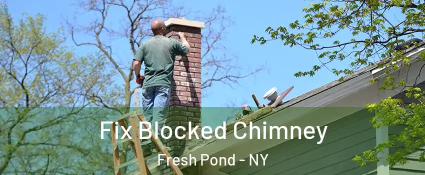 Fix Blocked Chimney Fresh Pond - NY