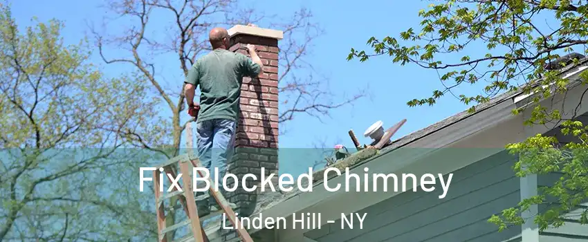 Fix Blocked Chimney Linden Hill - NY