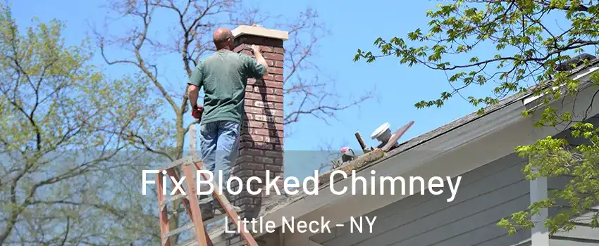 Fix Blocked Chimney Little Neck - NY