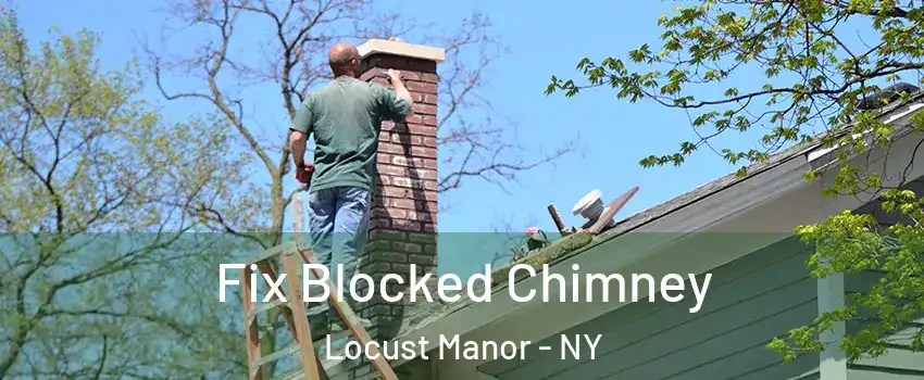 Fix Blocked Chimney Locust Manor - NY