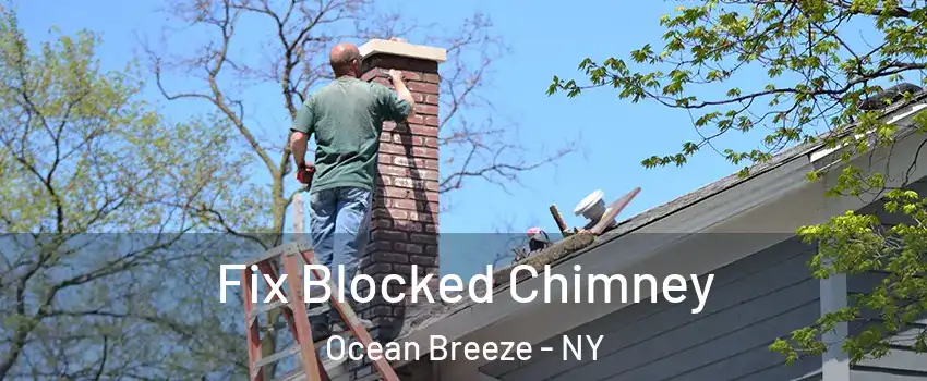Fix Blocked Chimney Ocean Breeze - NY