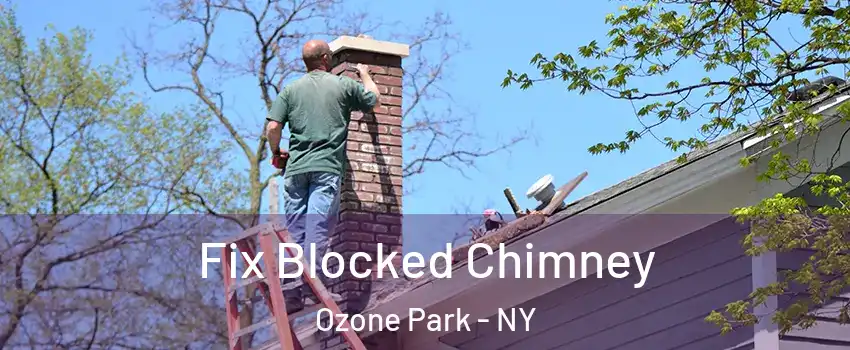 Fix Blocked Chimney Ozone Park - NY