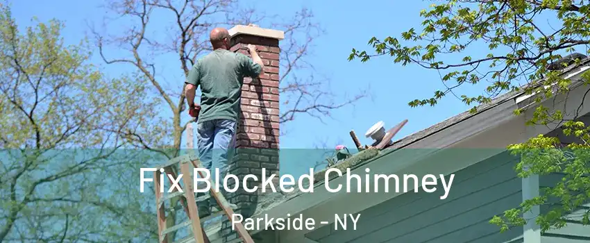 Fix Blocked Chimney Parkside - NY