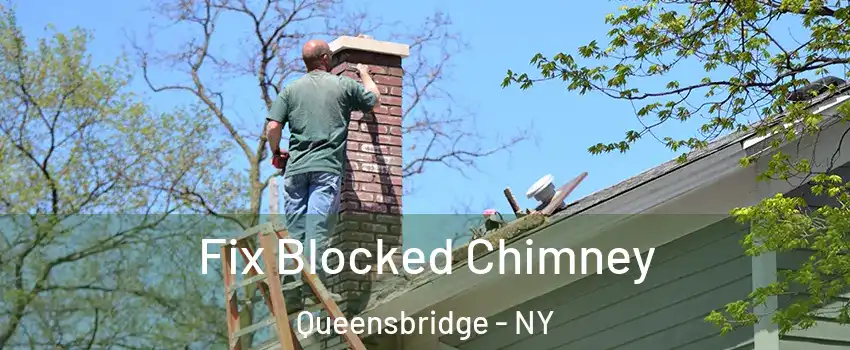 Fix Blocked Chimney Queensbridge - NY