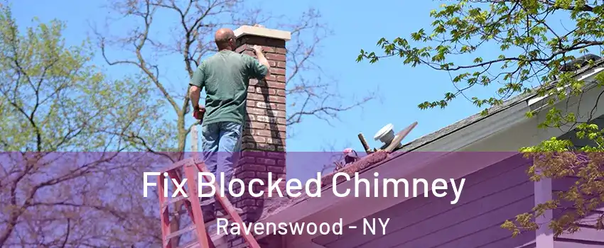 Fix Blocked Chimney Ravenswood - NY