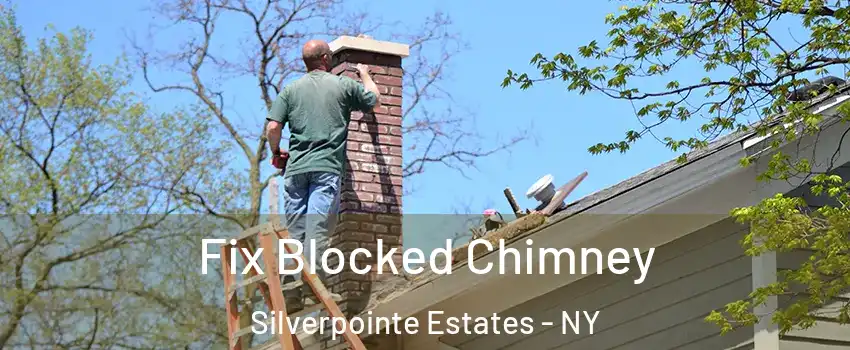 Fix Blocked Chimney Silverpointe Estates - NY