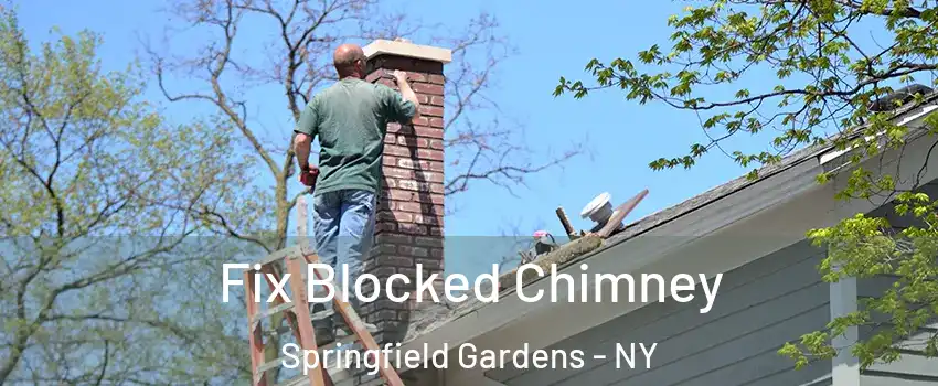Fix Blocked Chimney Springfield Gardens - NY