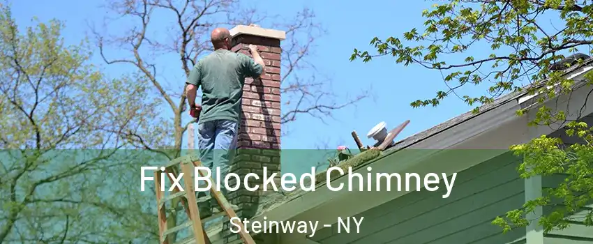 Fix Blocked Chimney Steinway - NY