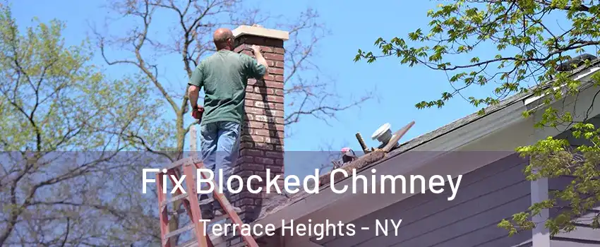 Fix Blocked Chimney Terrace Heights - NY