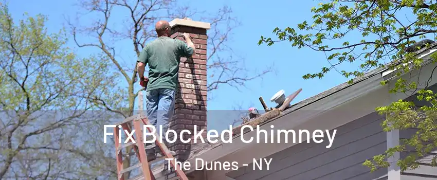 Fix Blocked Chimney The Dunes - NY