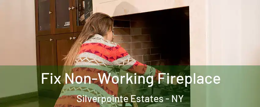 Fix Non-Working Fireplace Silverpointe Estates - NY