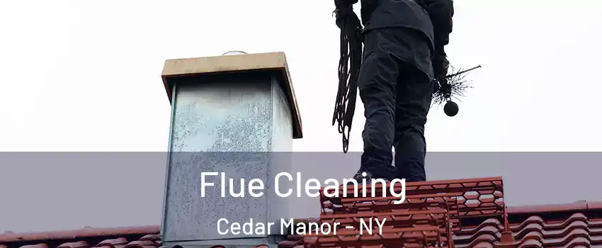 Flue Cleaning Cedar Manor - NY